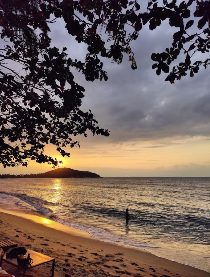 Chill Inn Lipa Noi Hostel And Beach Cafe 苏梅岛 外观 照片