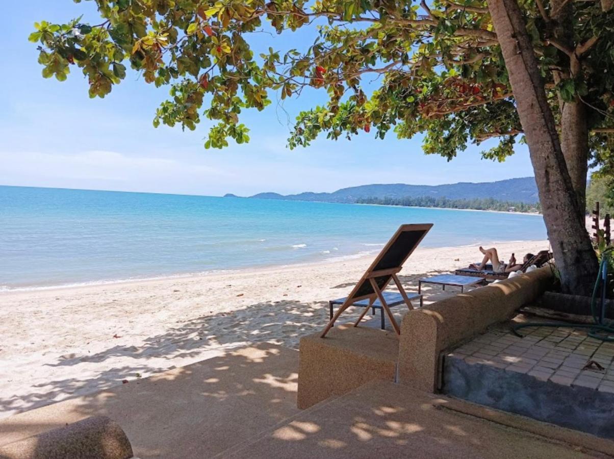 Chill Inn Lipa Noi Hostel And Beach Cafe 苏梅岛 外观 照片